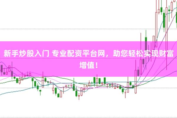 新手炒股入门 专业配资平台网，助您轻松实现财富增值！
