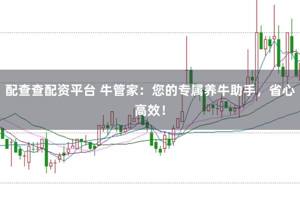 配查查配资平台 牛管家：您的专属养牛助手，省心高效！