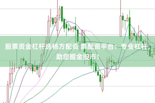 股票资金杠杆选杨方配资 票配资平台：专业杠杆，助您掘金股市！