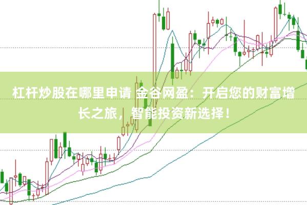 杠杆炒股在哪里申请 金谷网盈：开启您的财富增长之旅，智能投资新选择！