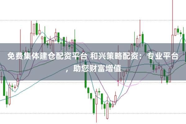 免费集体建仓配资平台 和兴策略配资：专业平台，助您财富增值