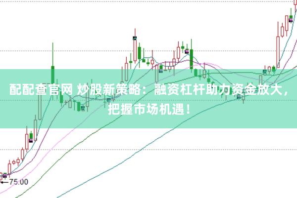 配配查官网 炒股新策略：融资杠杆助力资金放大，把握市场机遇！