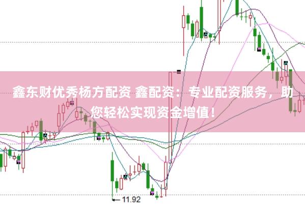 鑫东财优秀杨方配资 鑫配资：专业配资服务，助您轻松实现资金增值！