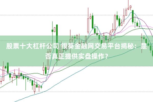 股票十大杠杆公司 银葵金融网交易平台揭秘：是否真正提供实盘操作？