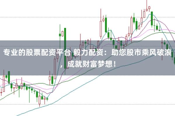专业的股票配资平台 毅力配资：助您股市乘风破浪，成就财富梦想！