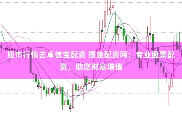 股市行情去卓信宝配资 摆渡配资网：专业股票配资，助您财富增值