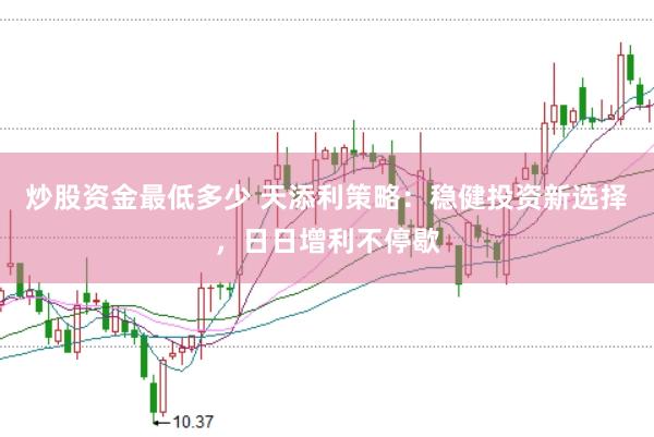 炒股资金最低多少 天添利策略：稳健投资新选择，日日增利不停歇