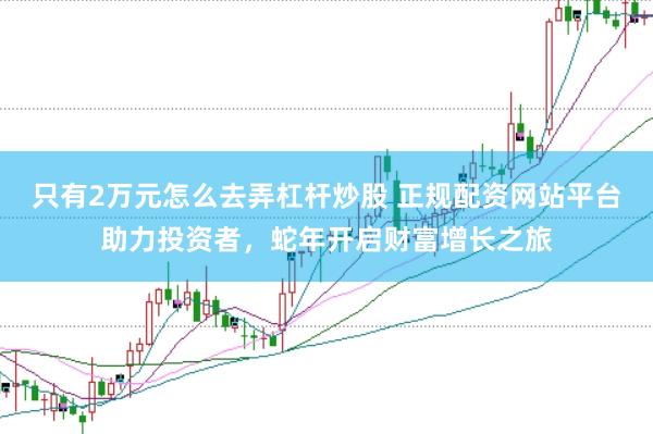 只有2万元怎么去弄杠杆炒股 正规配资网站平台助力投资者，蛇年开启财富增长之旅
