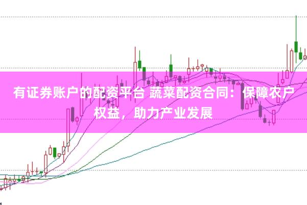 有证券账户的配资平台 蔬菜配资合同：保障农户权益，助力产业发展