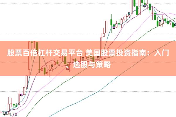 股票百倍杠杆交易平台 美国股票投资指南：入门、选股与策略