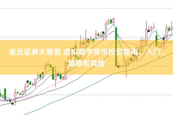 金元证券大智慧 虚拟数字货币投资指南：入门、策略和风险