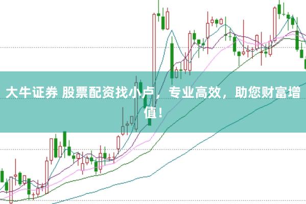大牛证券 股票配资找小卢，专业高效，助您财富增值！