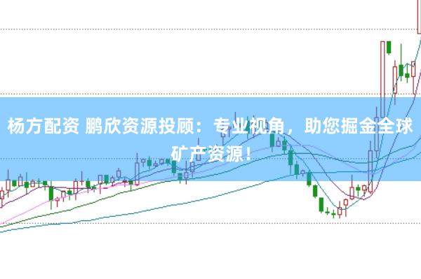 杨方配资 鹏欣资源投顾：专业视角，助您掘金全球矿产资源！