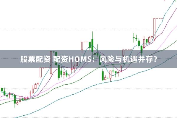 股票配资 配资HOMS：风险与机遇并存？