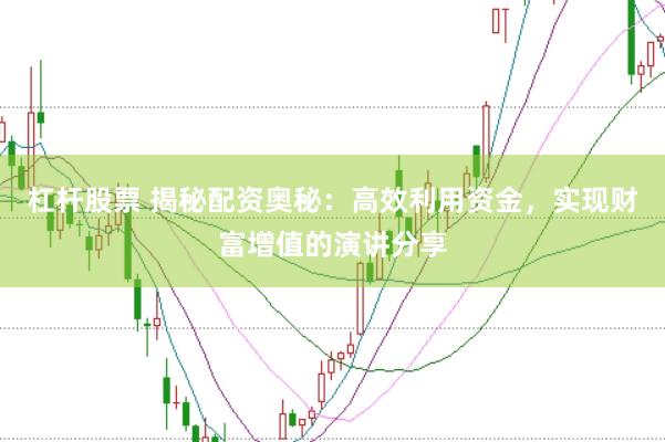 杠杆股票 揭秘配资奥秘：高效利用资金，实现财富增值的演讲分享