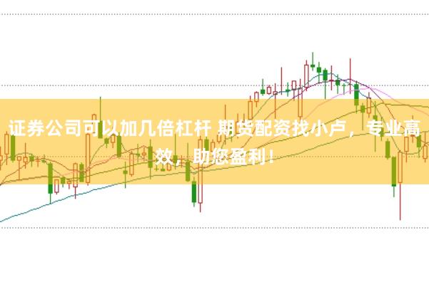 证券公司可以加几倍杠杆 期货配资找小卢，专业高效，助您盈利！
