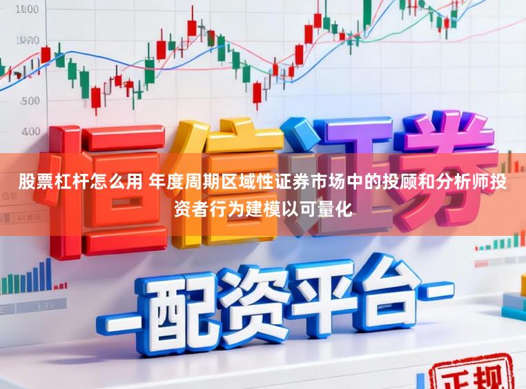 股票杠杆怎么用 年度周期区域性证券市场中的投顾和分析师投资者行为建模以可量化