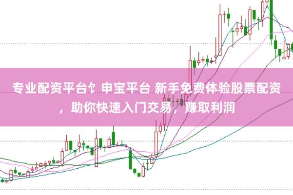 专业配资平台饣申宝平台 新手免费体验股票配资，助你快速入门交易，赚取利润